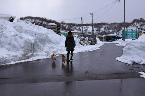 14resize4721.jpg