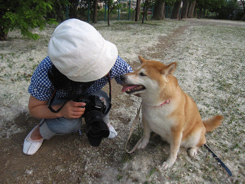 14resize5450.jpg