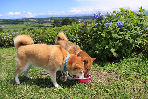 14resize5543.jpg