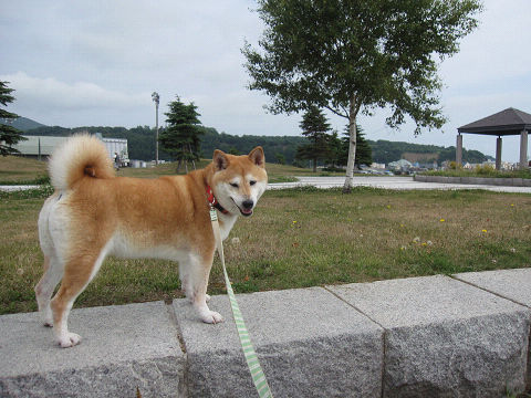 14resize5590.jpg