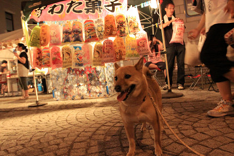 14resize5636.jpg