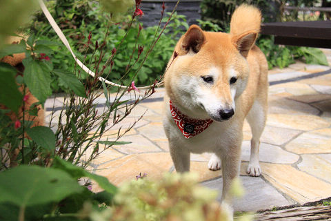 14resize5845.jpg