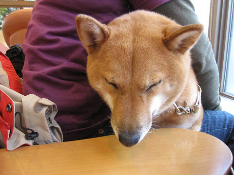 14resize6328.jpg