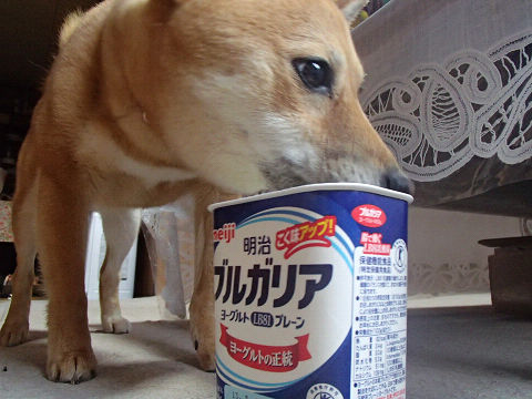 14resize7069.jpg