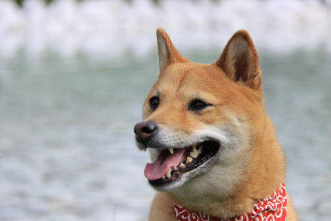 14resize7214.jpg