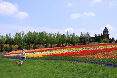 14resize7319.jpg