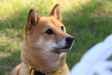 14resize7386.jpg