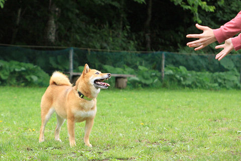 14resize7617.jpg