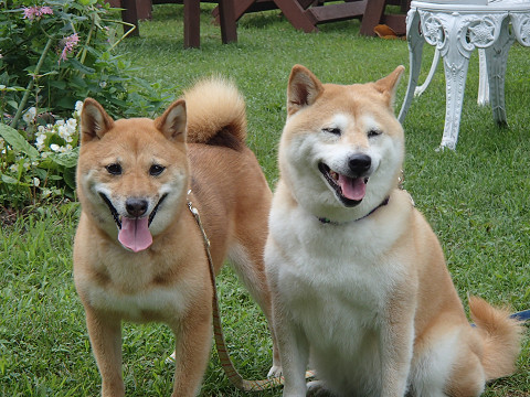 15resize0090.jpg