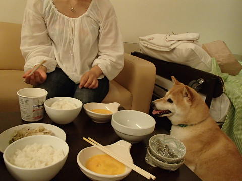 15resize0323.jpg