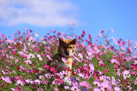 15resize0394.jpg
