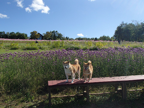 15resize0407.jpg