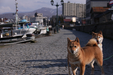 15resize0590.jpg
