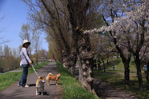 15resize1315.jpg