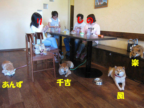 15resize2161.jpg