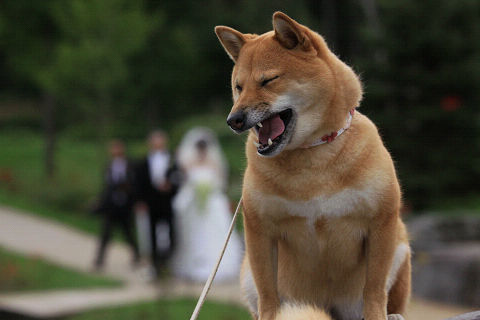 15resize2239.jpg