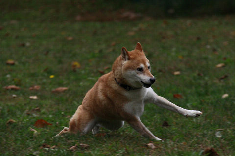 15resize2296.jpg