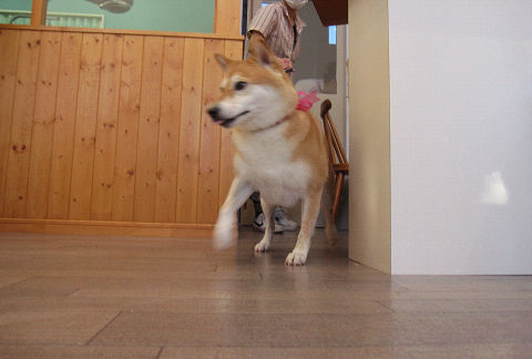15resize2367.jpg
