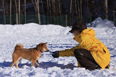 15resize2654.jpg