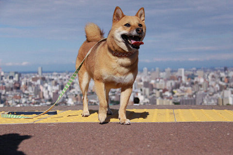 15resize3531.jpg