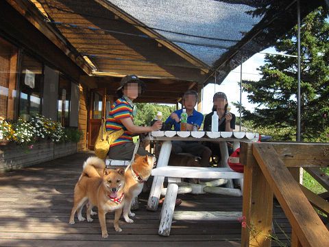 15resize3700.jpg