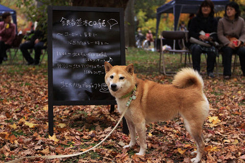 15resize4105.jpg