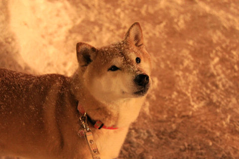 15resize4570.jpg