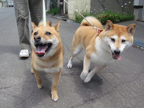 15resize5288.jpg