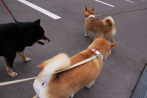 15resize5348.jpg