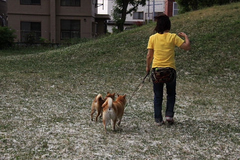 15resize5462.jpg