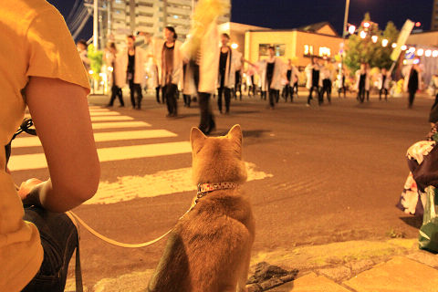 15resize5637.jpg