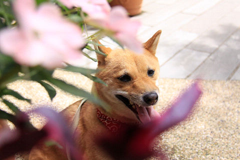 15resize5846.jpg