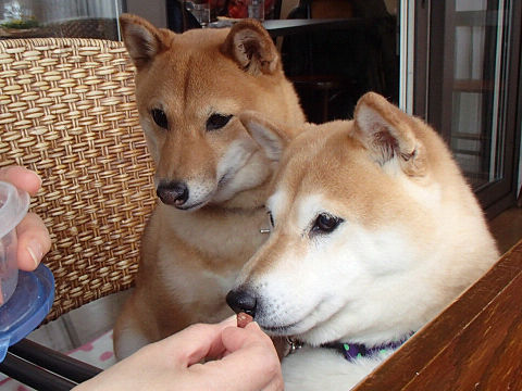 15resize6970.jpg