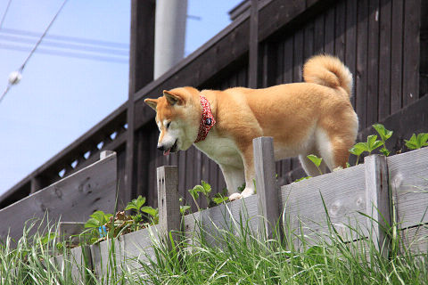 15resize7181.jpg