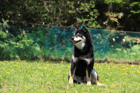 15resize7265.jpg