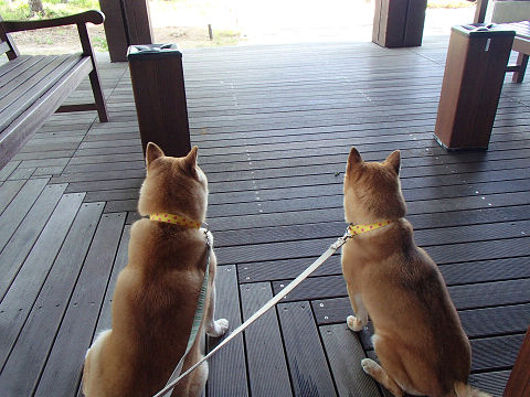 15resize7341.jpg