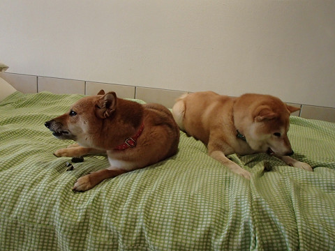 16resize0311.jpg