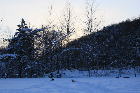 16resize1002.jpg