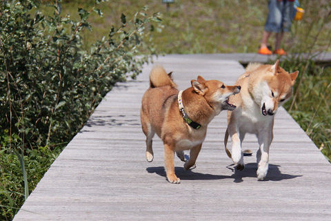 16resize2006.jpg