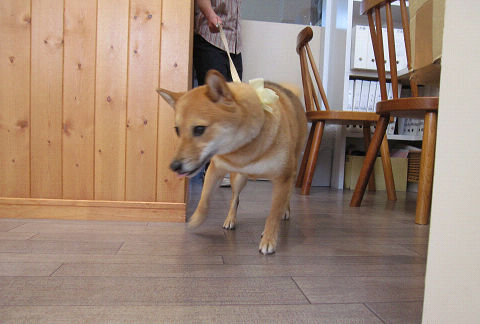 16resize2364.jpg