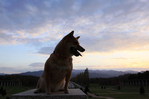 16resize2425.jpg