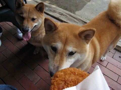16resize3415.jpg