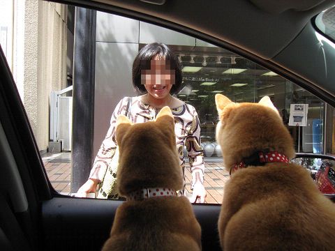 16resize3547.jpg