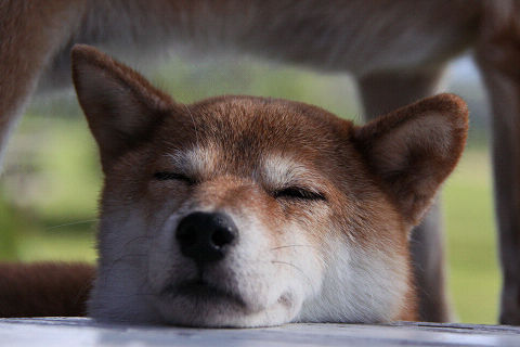 16resize3695.jpg