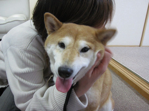 16resize4855.jpg