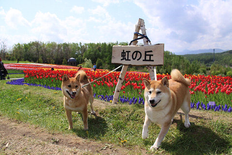 16resize5214.jpg