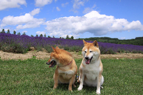 16resize5539.jpg