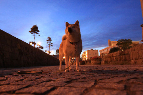 16resize5634.jpg