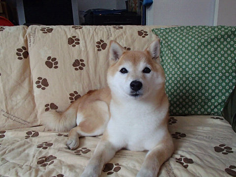 16resize6840.jpg
