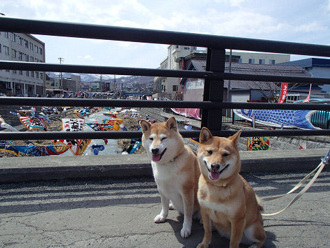 16resize7008.jpg